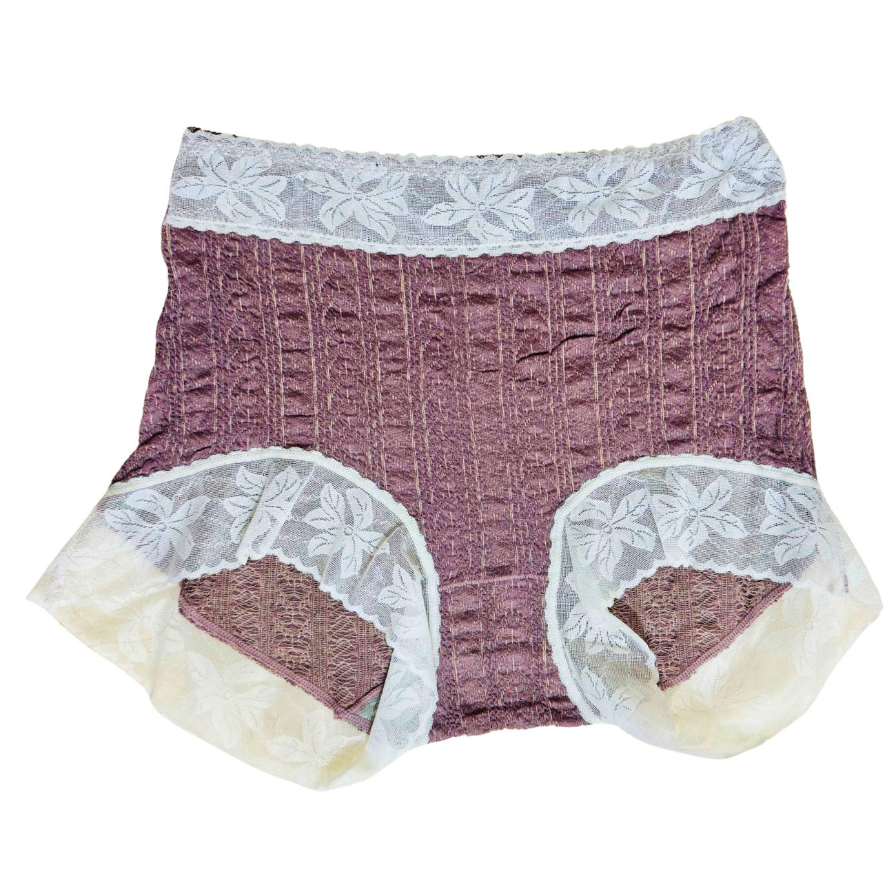 Two-Tone Lace Comfort Brief - The Whispers Wear